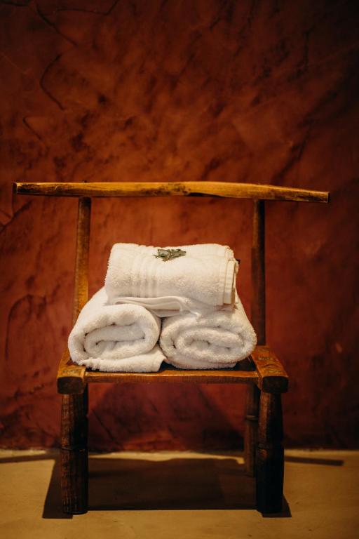 Singa Lodge - Lion Roars Hotels & Lodges - Luxury Room