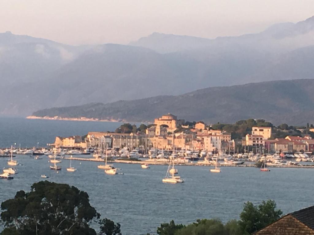 a group of boats in the water near a city at Soleil Corse in Saint-Florent