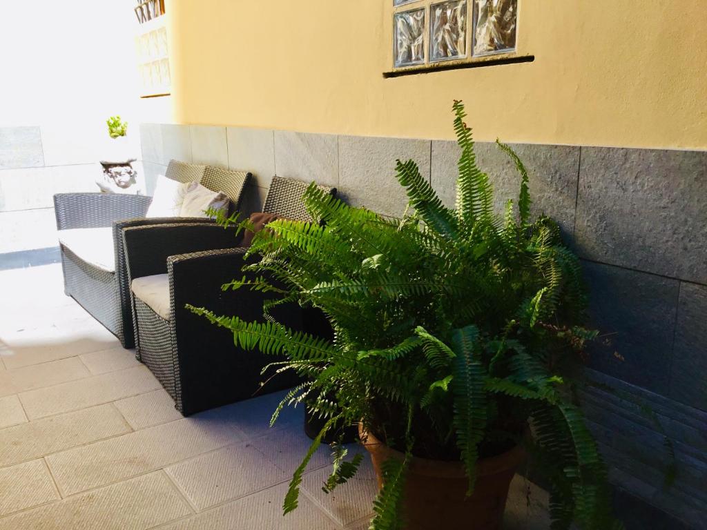 a garden area with a bench and a vase of flowers at New Hostel Florence in Florence