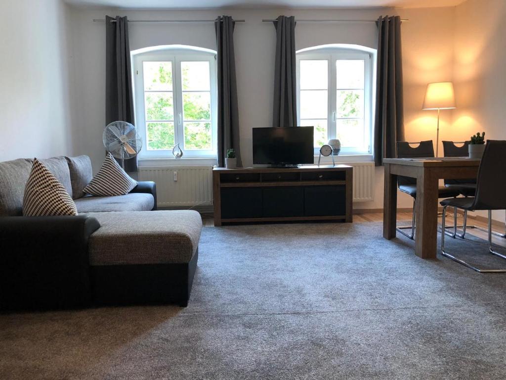 a living room with a couch and a tv and windows at Viadrina Rooms & Apartments Frankfurt-Oder am Park im Zentrum in Frankfurt Oder
