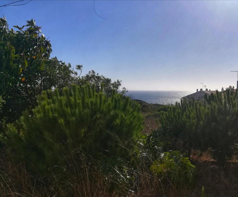 uitzicht op de oceaan vanaf een heuvel bij An out of time apartment near the beach in São Bernardino in Atouguia da Baleia
