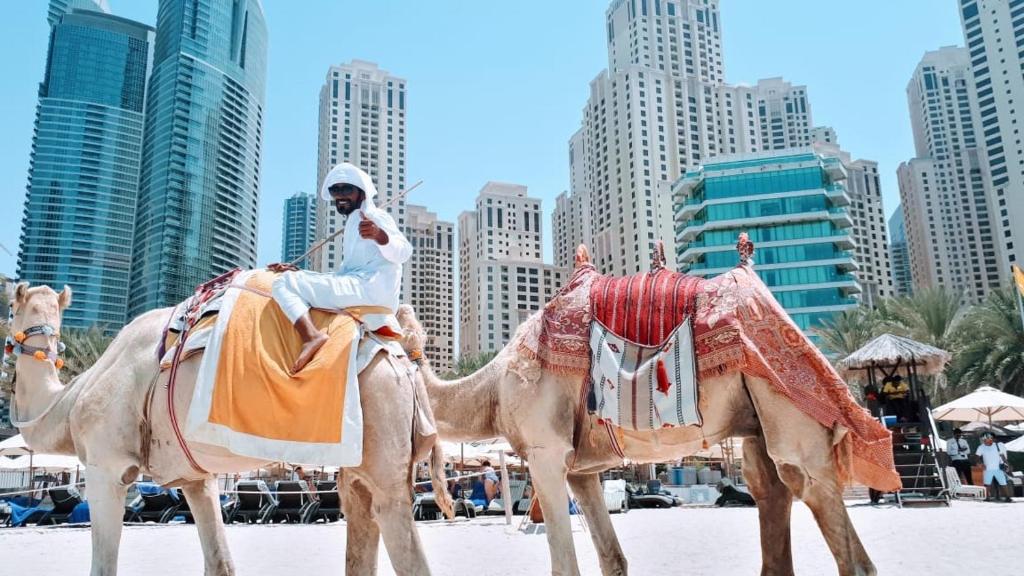 Silvia s holiday homes JBR &Marina Bahar 6 - One-Bedroom Apartment
