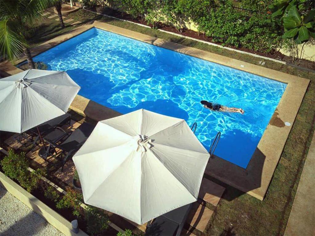 an overhead view of a swimming pool with umbrellas at Alona42 Resort in Panglao Island