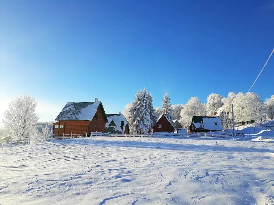 a snow covered field with a barn and trees at Family Farm Apartments in Žabljak