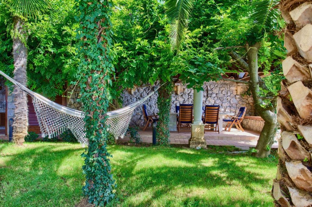 Ogród w obiekcie Villa Baronessa