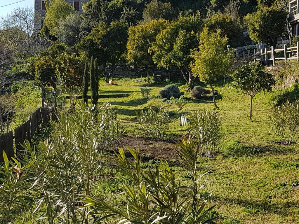 Zahrada ubytování la VILLA GUIDI