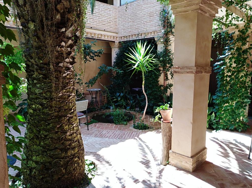 La Venta del Arriero - Housity