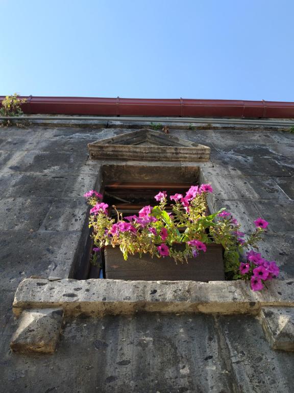 Fotografie z fotogalerie ubytování Hye Aspet Հայ Ասպետ v destinaci Gjumri