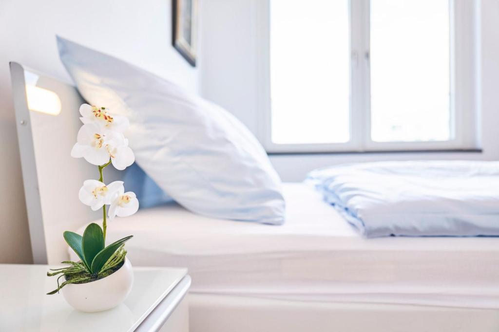 Cozy apartments in Munich, Germany