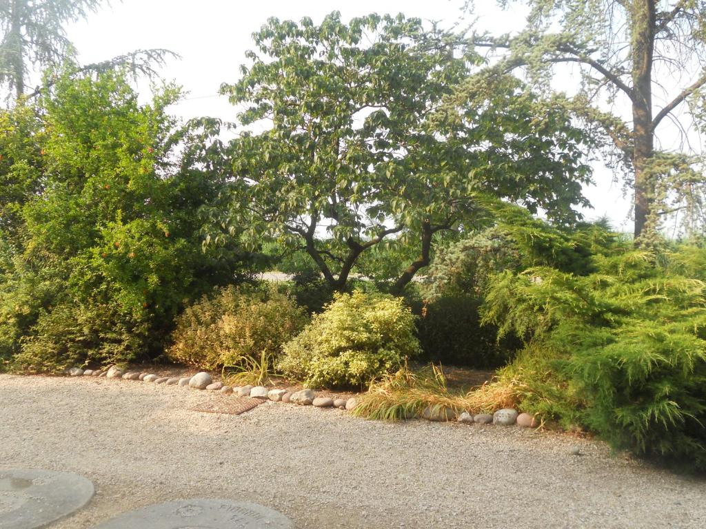 A garden outside Agriturismo Boaria Bassa
