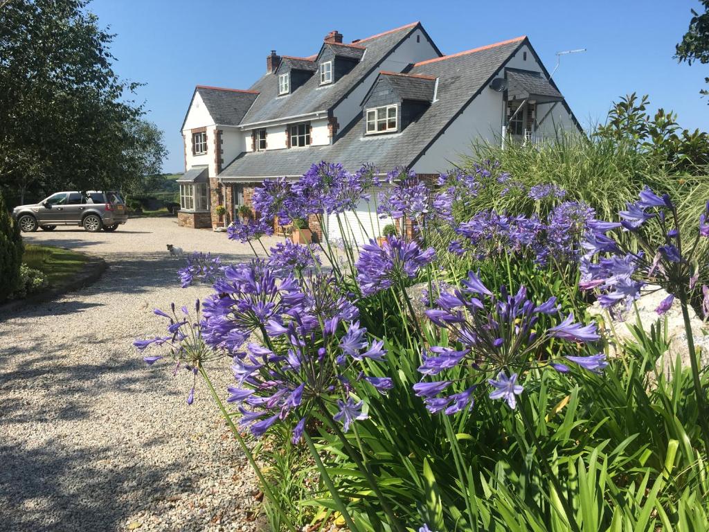 a house with purple flowers in front of it at Brookfields in Wadebridge