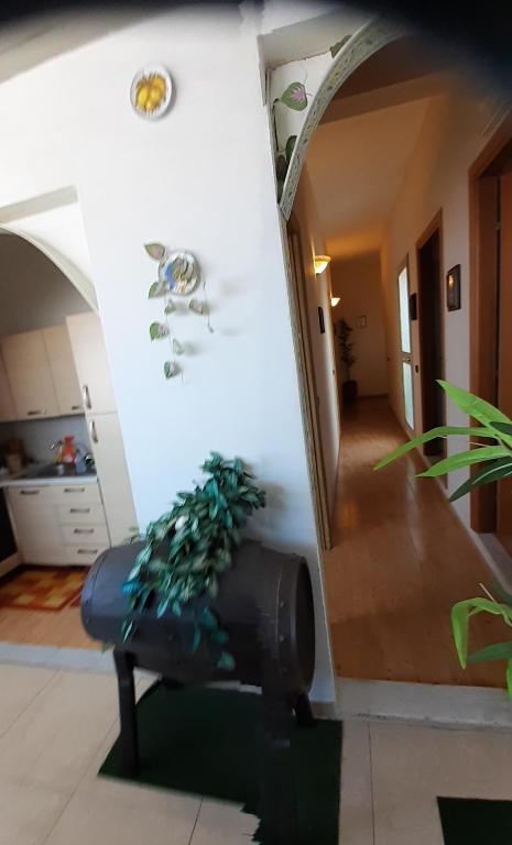 Fotografia z galérie ubytovania B&B MISTRAL di Lizzio Salvatore v destinácii Giarre