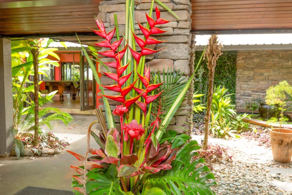 Zahrada ubytování Turtle Cove Beach Resort - Adults Only LGBTQIA & Allies