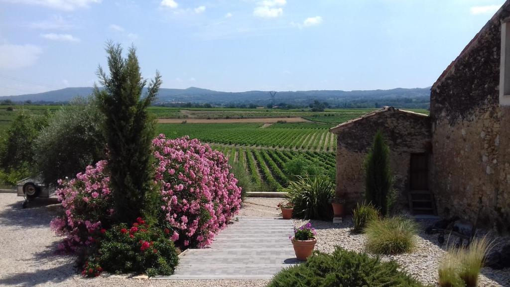 a garden with pink flowers and a view of a vineyard at L'ARCHIMBAUDE in Pertuis