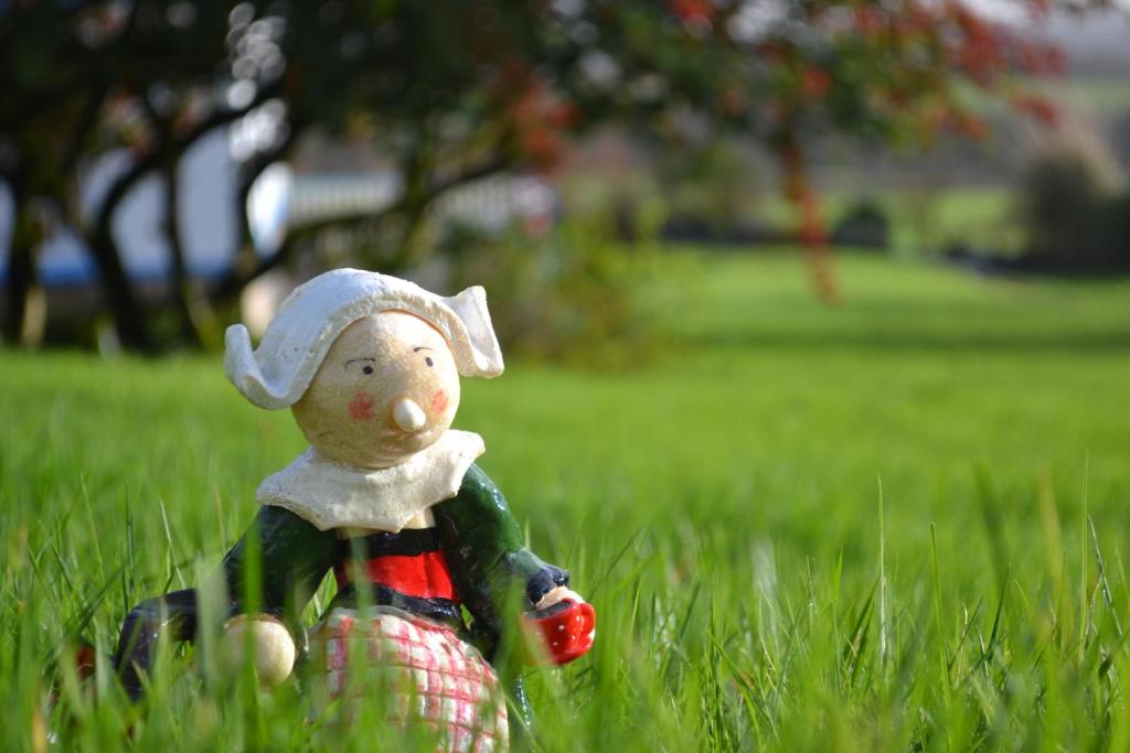 een kleine pop zit in het gras bij L'Araucaria - chambres d'hôtes et gîte in Ploërdut