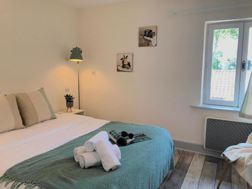 HOSTELLERIE DES BICHONNIERES - Standard Double Room