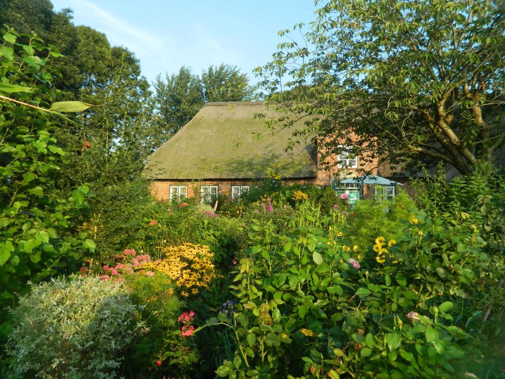 une maison ancienne avec un toit en gazon dans un jardin dans l'établissement Haubarg Pernörhof, à Tönning