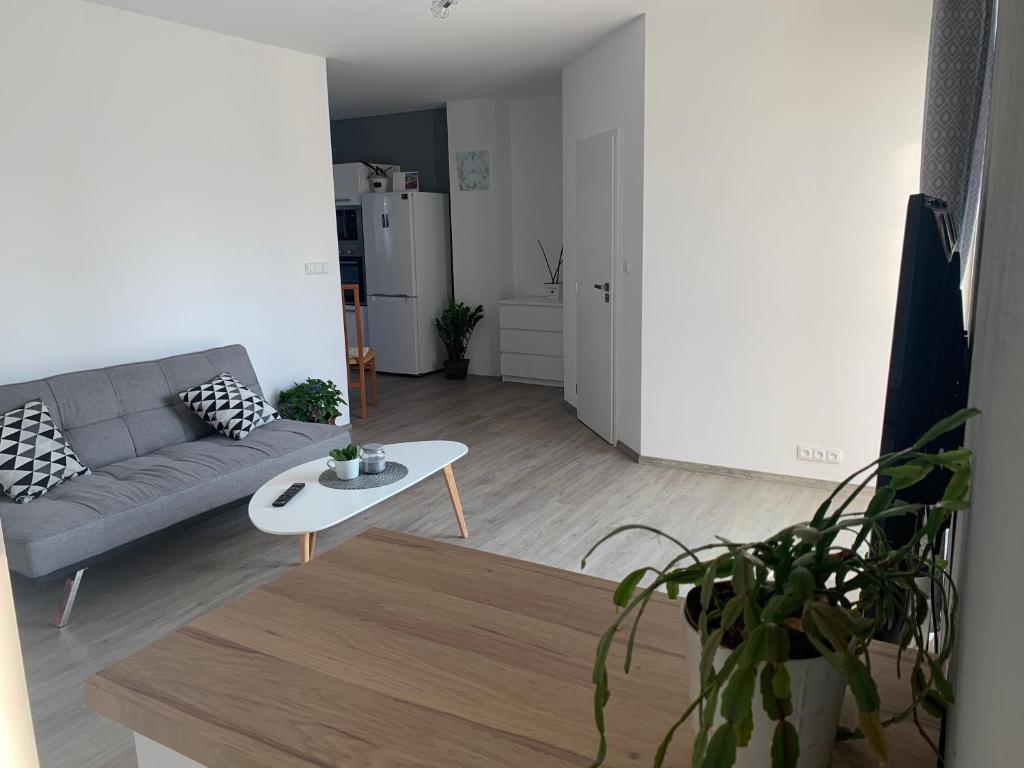 Posezení v ubytování Tolarova Apartmán