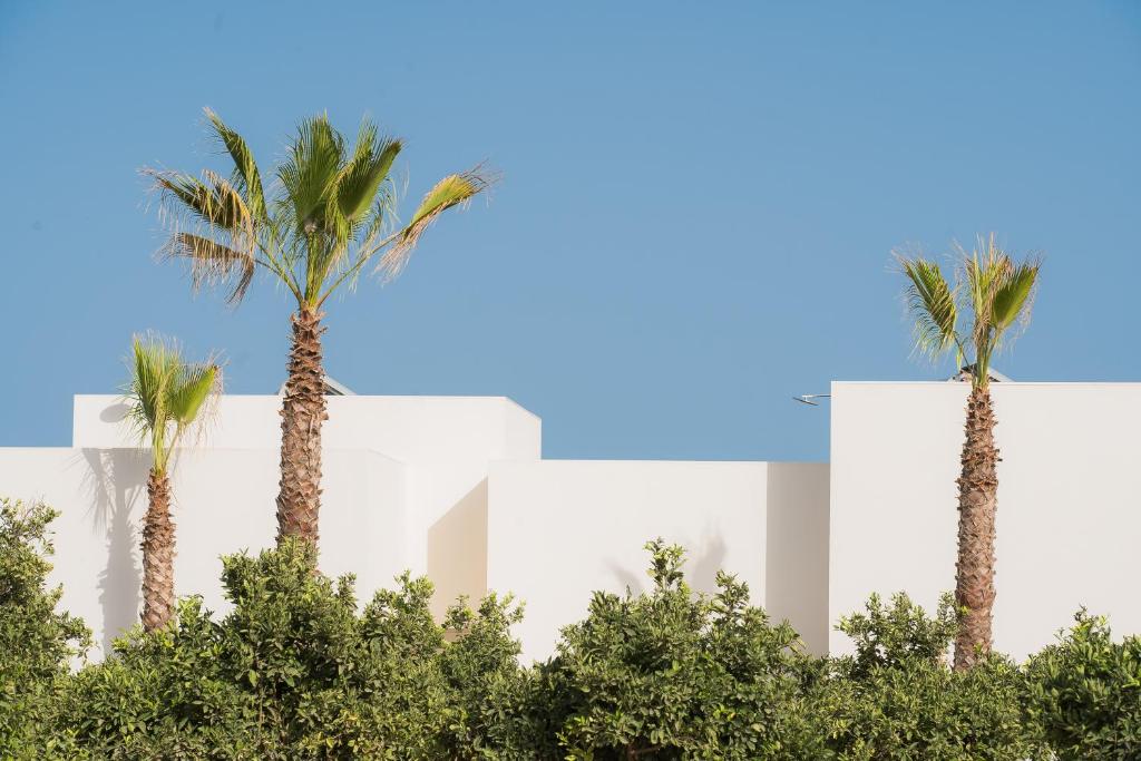 Fotografie z fotogalerie ubytování Can Jaume Private Villas by Ocean Drive v destinaci Ibiza (město)