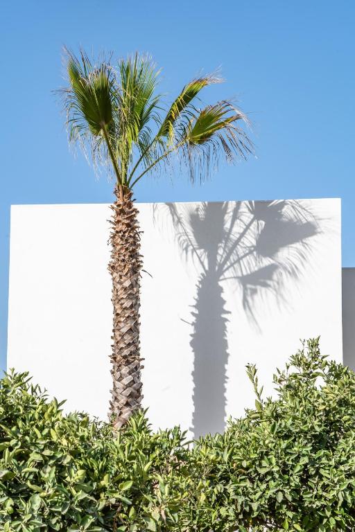 Fotografie z fotogalerie ubytování Can Jaume Private Villas by Ocean Drive v destinaci Ibiza (město)