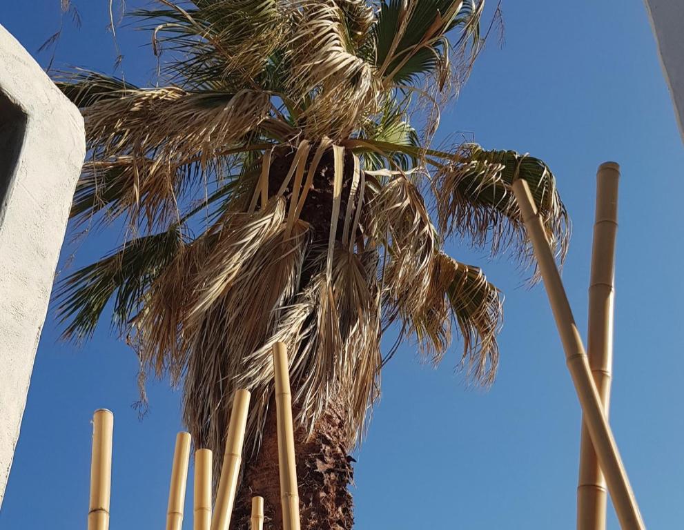 Zdjęcie z galerii obiektu Mira Living Concept Suites Adults Only w mieście Kokkini Hani