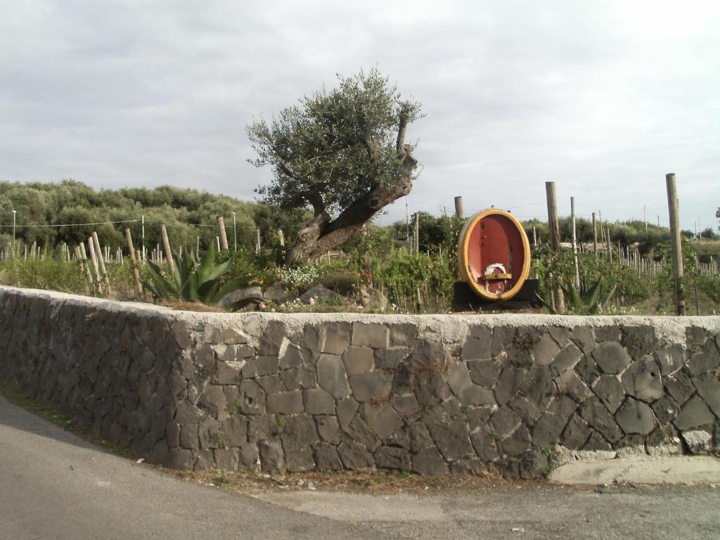 Fotografie z fotogalerie ubytování Bed & Breakfast Fuocomuorto v destinaci Ercolano