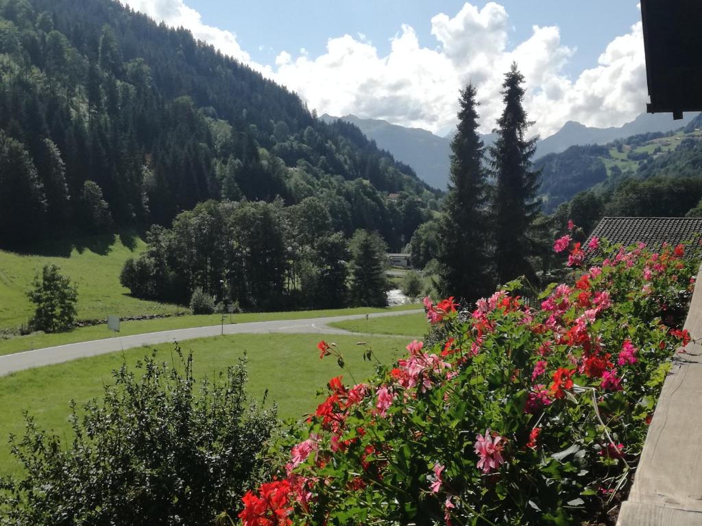 a view from the balcony of a house with flowers at Zudrellhus in Silbertal