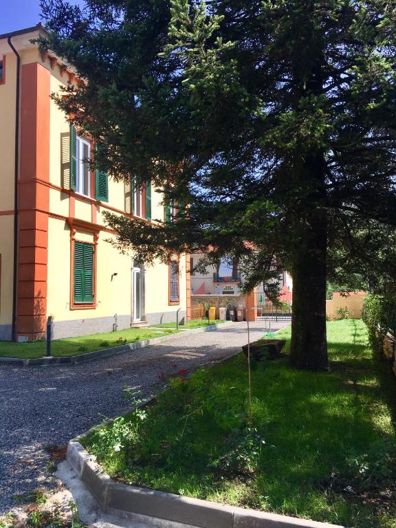 a tree in the grass next to a building at Villa Lucia home holiday in Carrodano Inferiore
