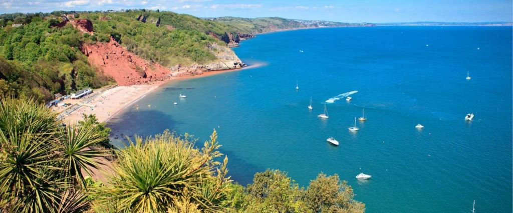 a view of a beach with boats in the water at Babbacombe Apartments in Torquay