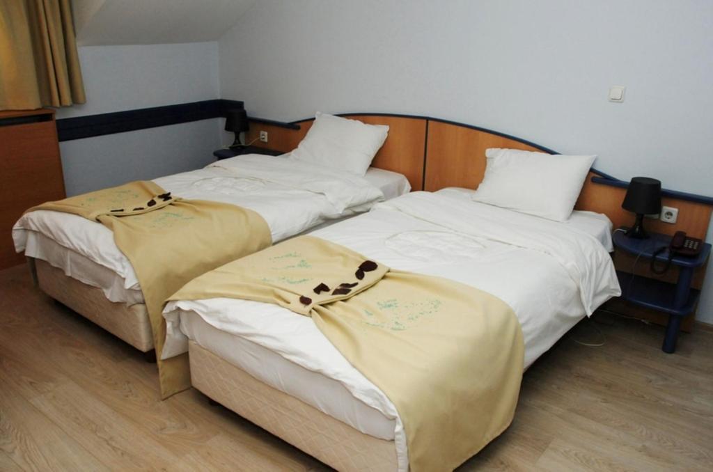 Hotel Tomce Sofka - Twin Room