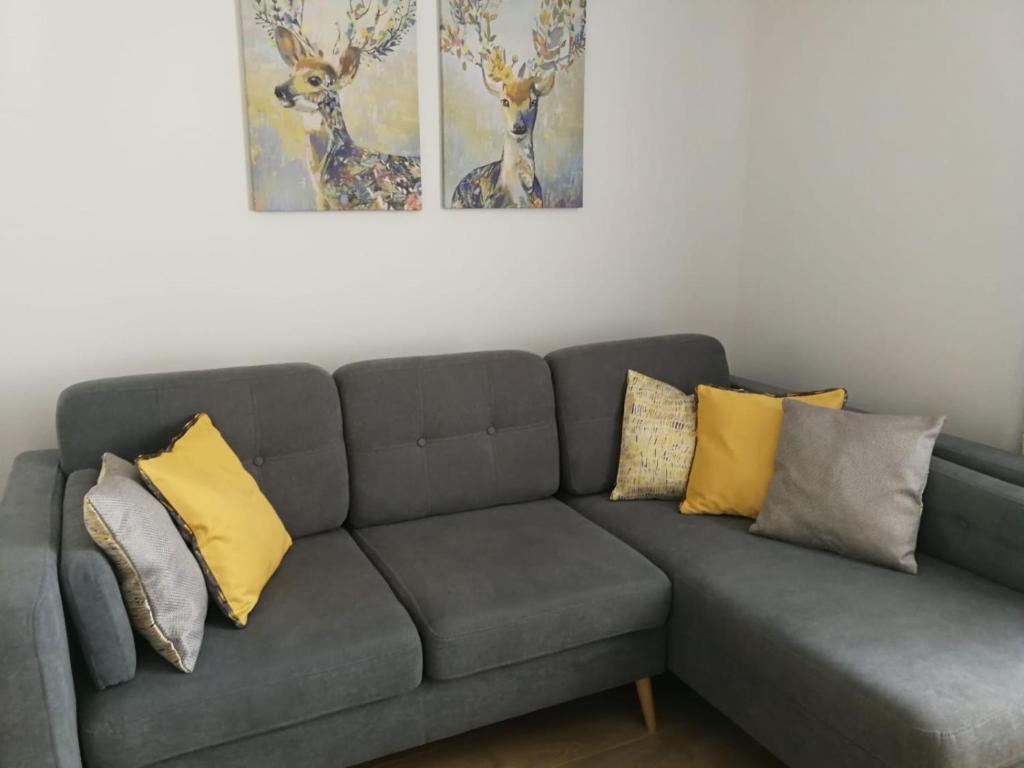 uma sala de estar com um sofá com almofadas em Vacation in druskininkai em Druskininkai