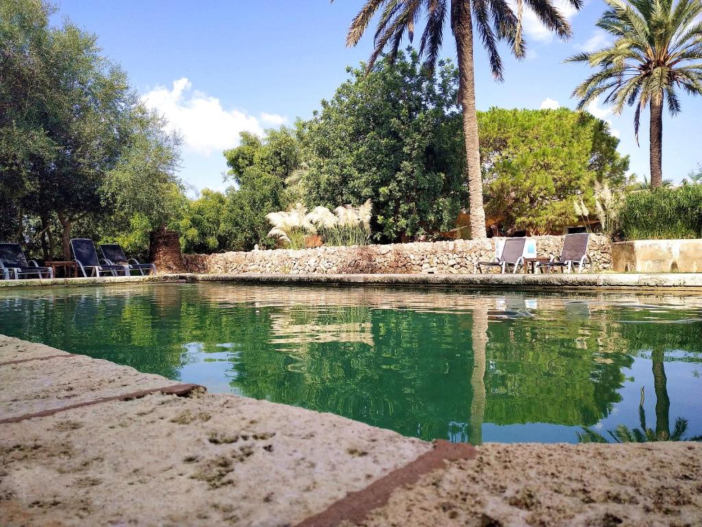 カンポスにあるPetit Hotel Es Figueralのヤシの木と椅子が並ぶ水のプール
