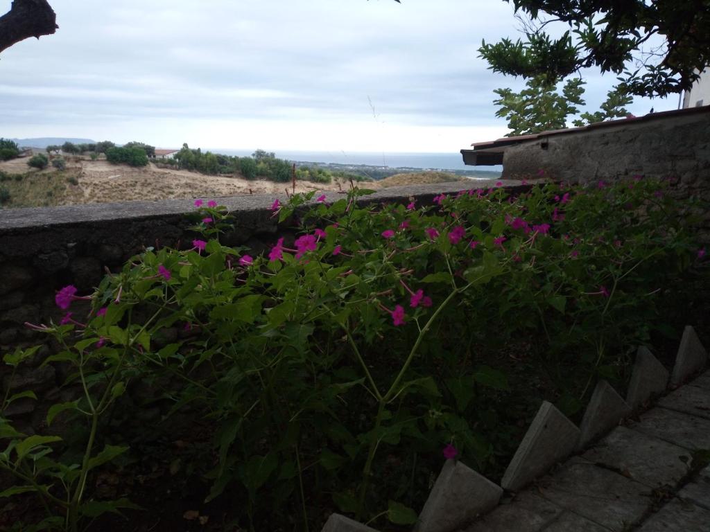 einen Garten mit rosa Blumen und einer erhaltenen Wand in der Unterkunft La Casolare in Condoianni