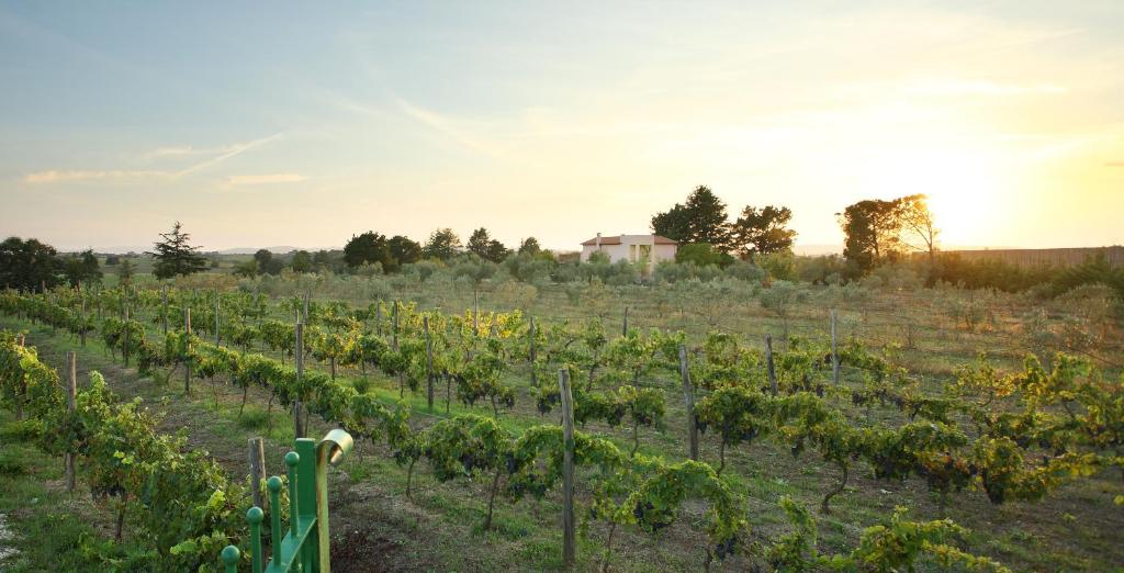 Zahrada ubytování Agriturismo Il Marrugio