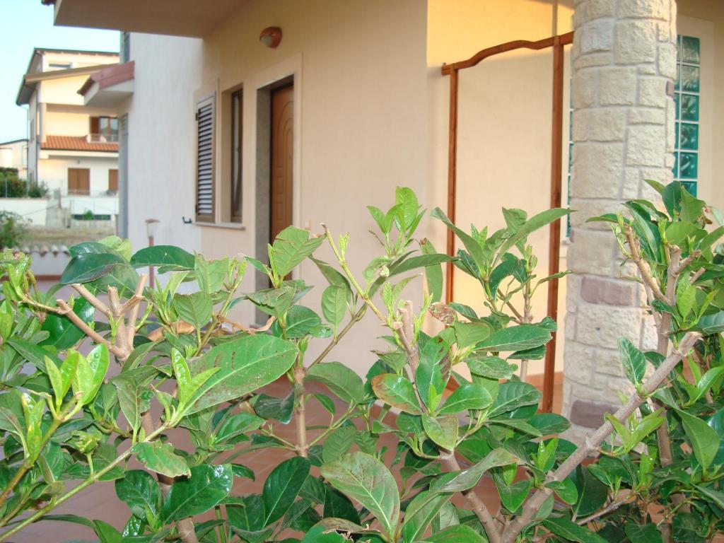 Zahrada ubytování Guest House Mare e Luna