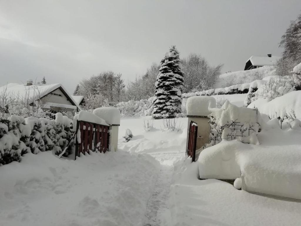 een tuin bedekt met sneeuw met een hek en bomen bij Tannenhof in Semmering