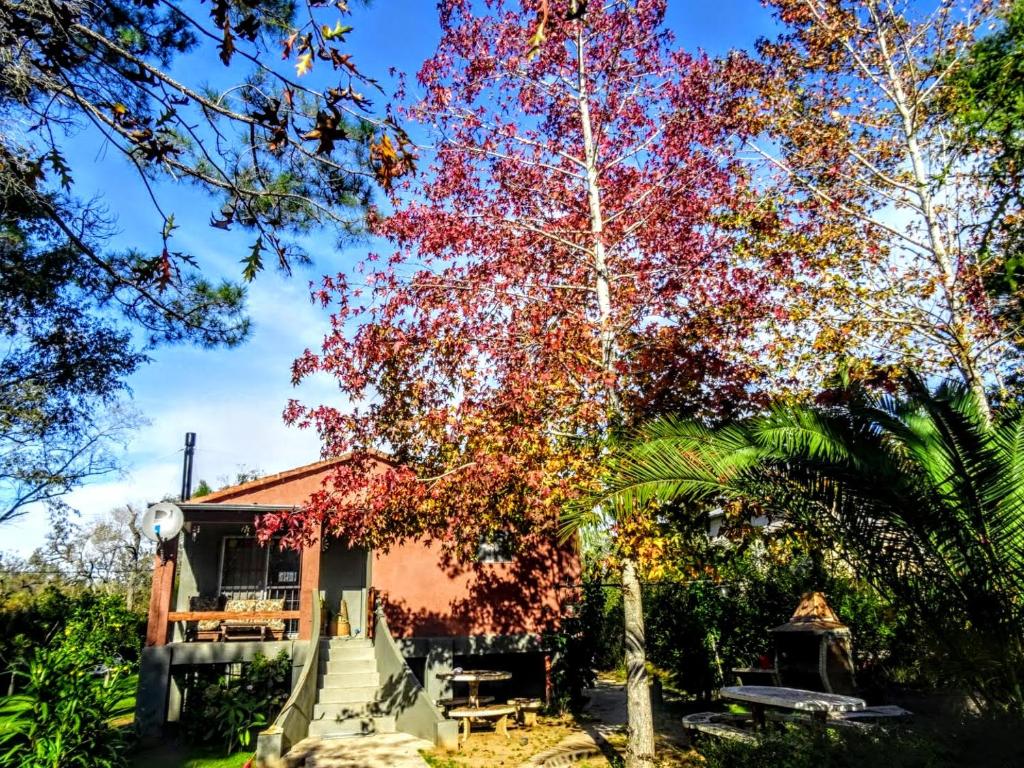 Gaia Hostal في تيغري: شجرة أوراق حمراء أمام المنزل