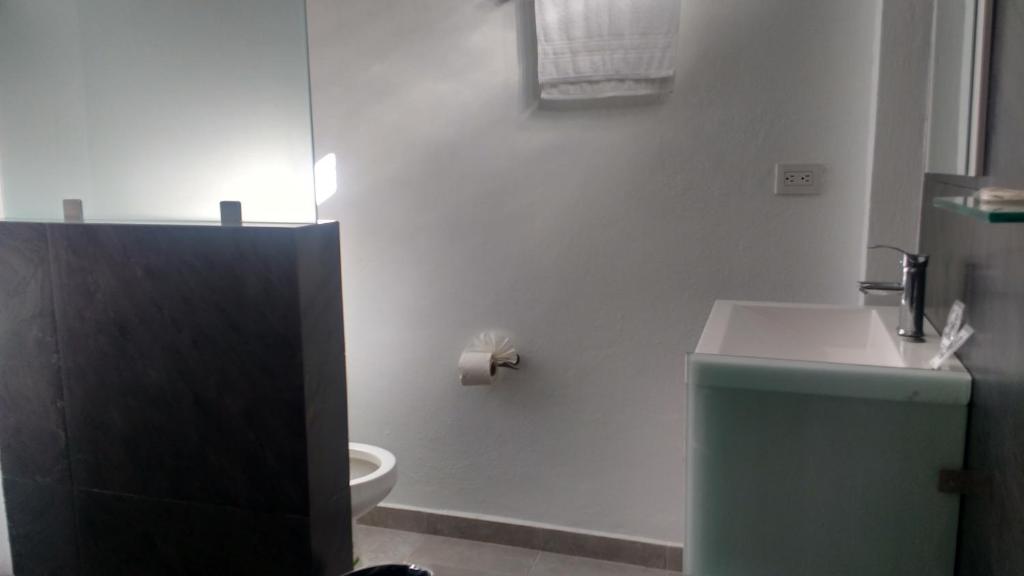 a bathroom with a toilet and a sink at HOTEL EL EDEN IXTAPALUCA in Ixtapaluca