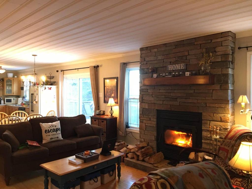 sala de estar con chimenea y sofá en Best View Wonderland - Cozy Cabin on Pond in Deer Park, en Salmonier Nature Park