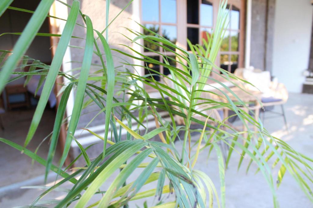 The Inn Possible - 8