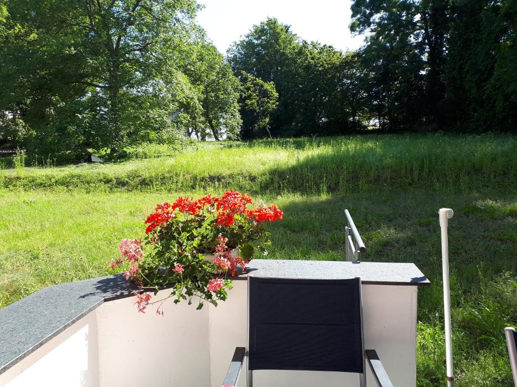 uma mesa com uma cadeira e flores num campo em Homal em Constança