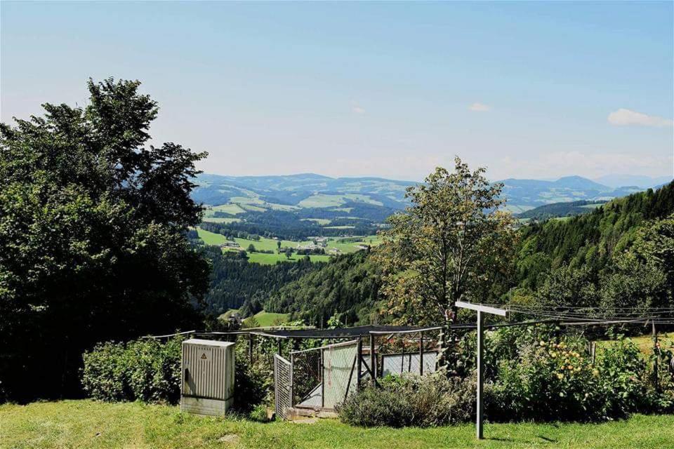 Táj Show holiday homes közelében
