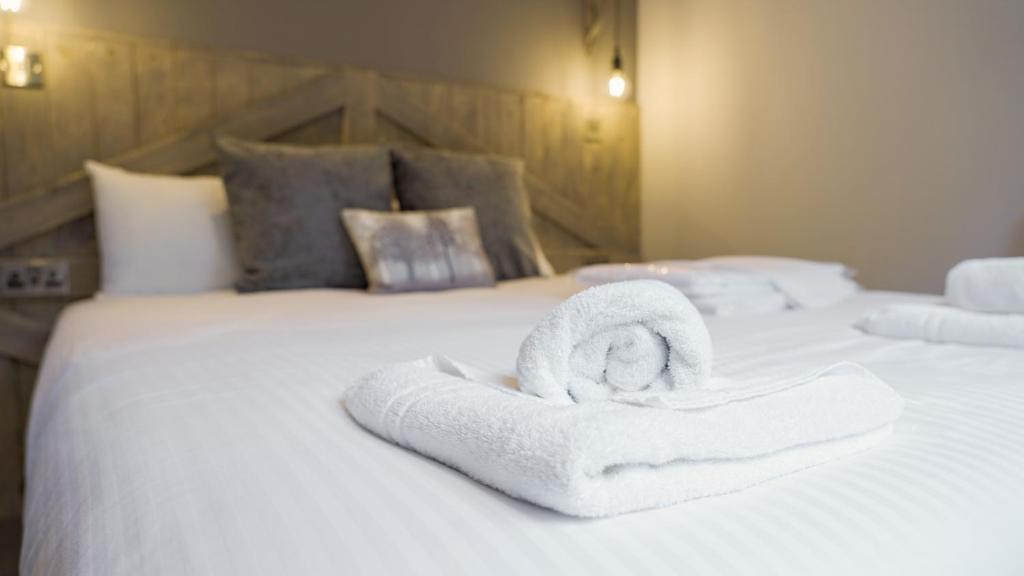 Hill Of Oaks - Dogge Woodland Lodge Friendly