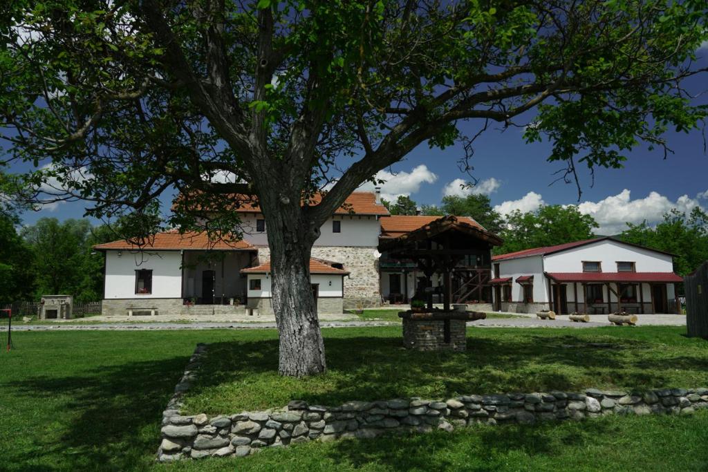 un gran árbol frente a una casa en Къща за гости Мелницата en Elhovo