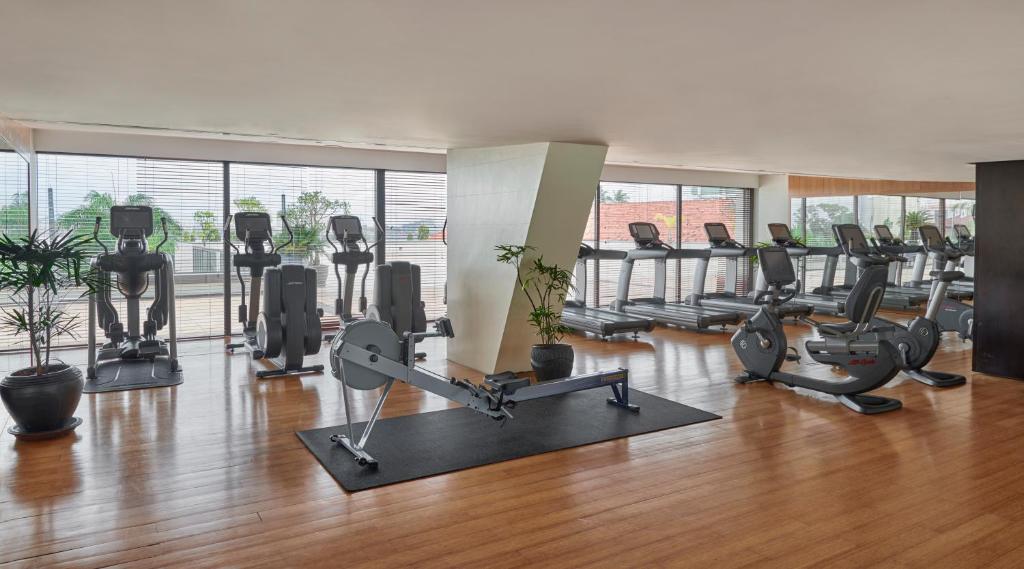 Fitness centrum a/nebo fitness zařízení v ubytování Hyatt Regency Dar es Salaam, The Kilimanjaro