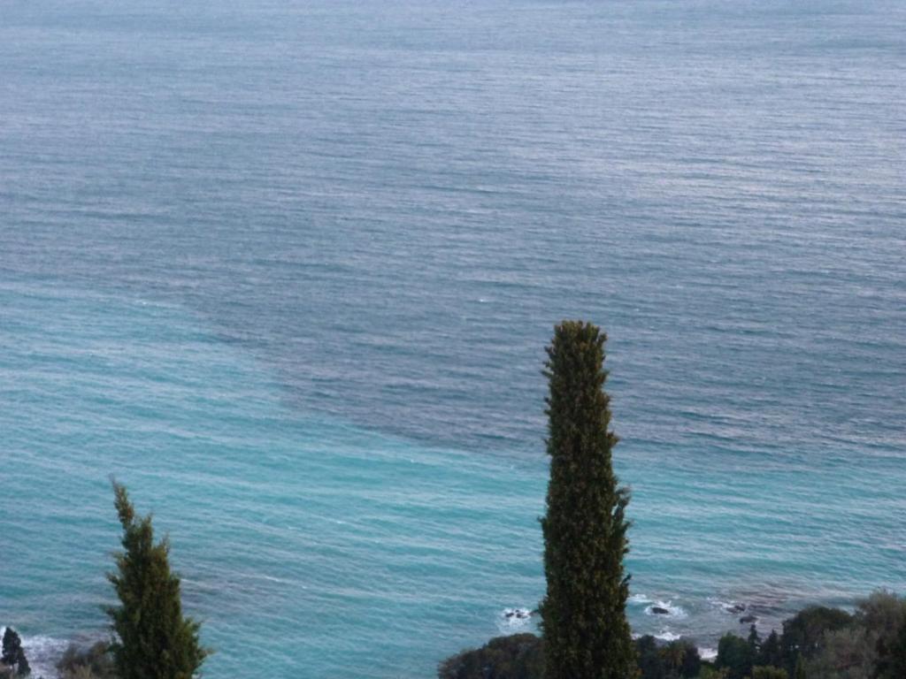 una vista del océano con un árbol en el primer plano en Triplex entre ciel et mer, en Roquebrune-Cap-Martin