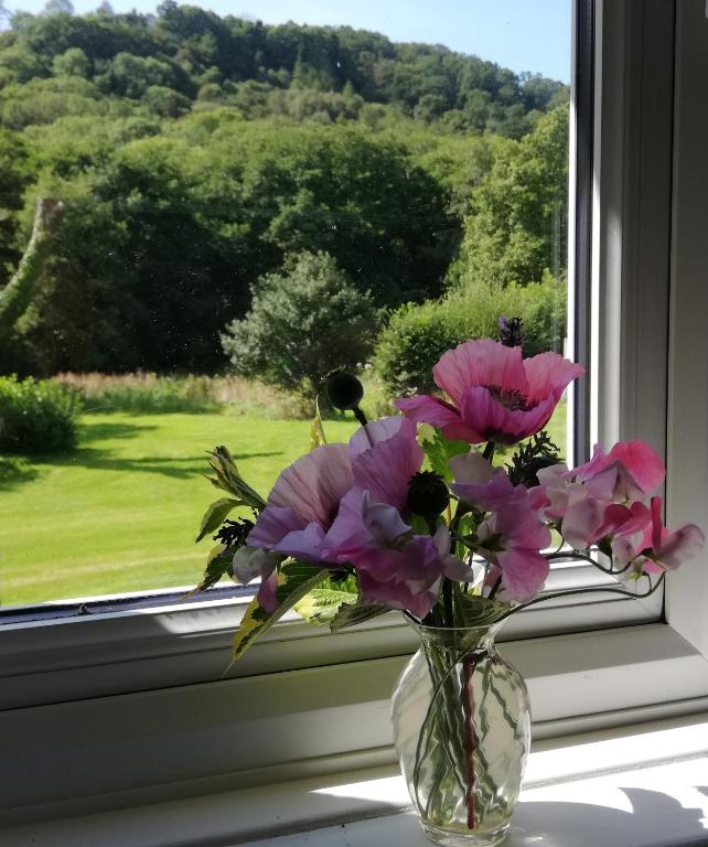 Wray Valley B&B - Sustainable Rural Dartmoor Escape - Twin Room With Garden View