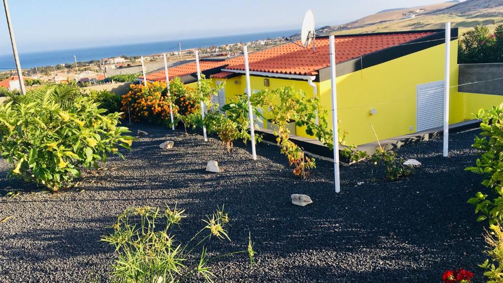 a row of vineyards in front of a yellow building at Casinha Vista Mar in Porto Santo