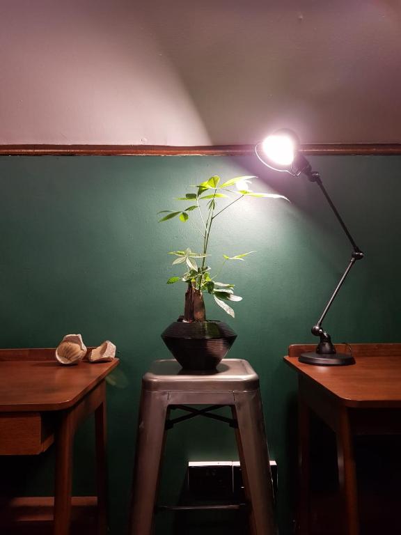 a lamp on a table with a potted plant on it at Wink at Mosque Street in Singapore