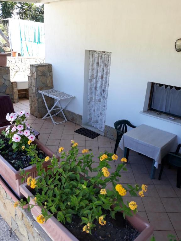 a patio with flowers and a table and a tv at B&B Caserta in Ustica